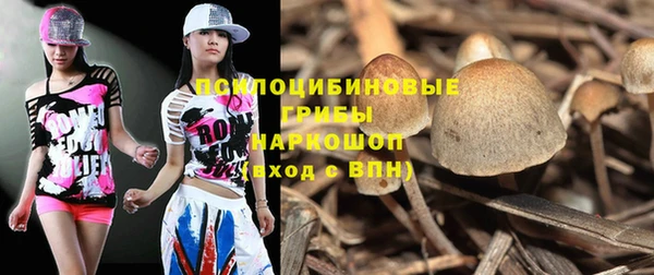 ALPHA PVP Бородино