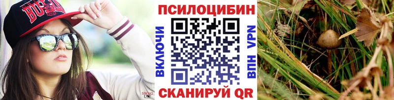 Галлюциногенные грибы MAGIC MUSHROOMS  Гусев 
