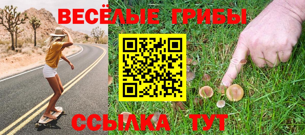 Псилоцибиновые грибы Psilocybine cubensis  Вход с VPN  Гусев 