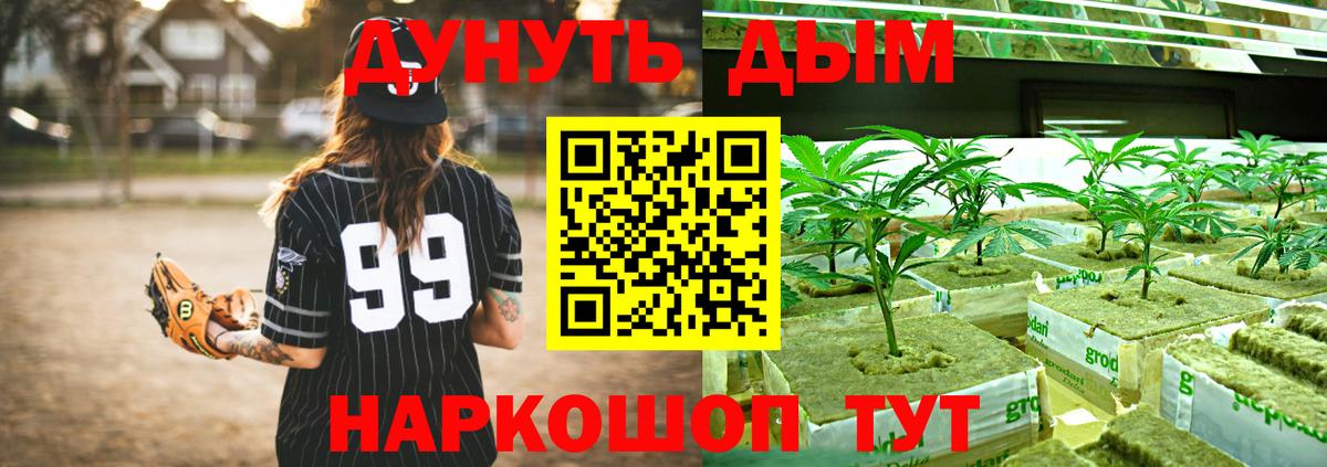 Конопля индика Гусев